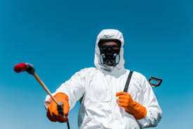 Best Organic or Eco-Friendly Pest Control  in Monsey, NY